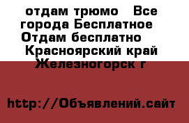 отдам трюмо - Все города Бесплатное » Отдам бесплатно   . Красноярский край,Железногорск г.